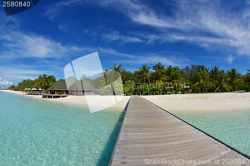 Image of tropical beach