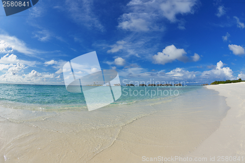 Image of tropical beach