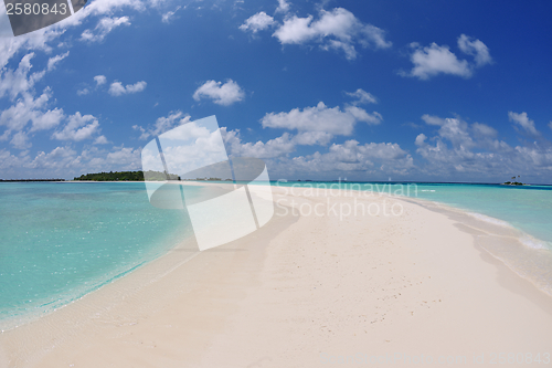 Image of tropical beach