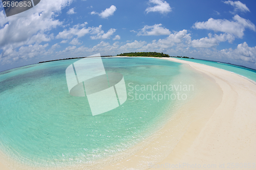 Image of tropical beach