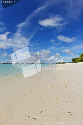 Image of tropical beach