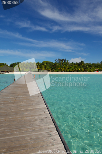 Image of tropical beach