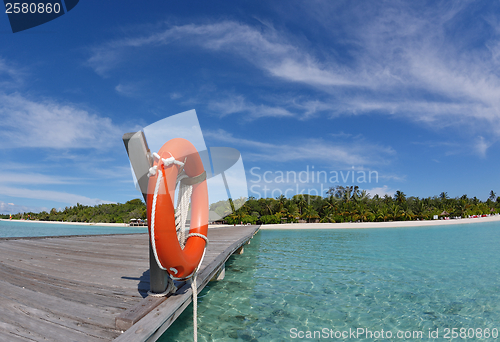 Image of tropical beach