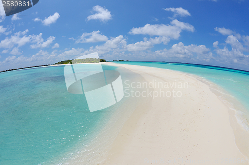 Image of tropical beach