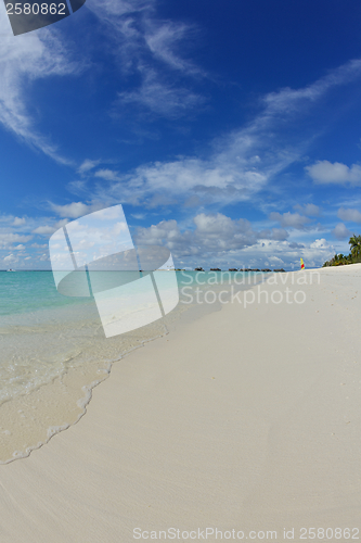 Image of tropical beach