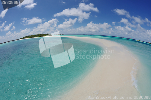 Image of tropical beach