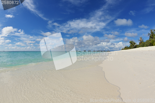 Image of tropical beach