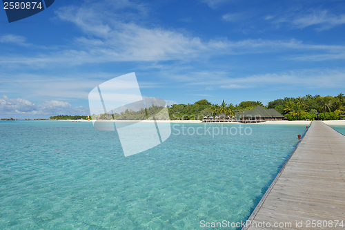 Image of tropical beach
