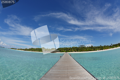 Image of tropical beach