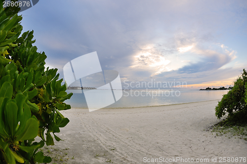 Image of tropical beach