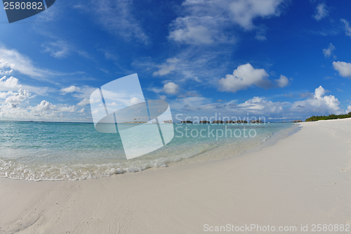 Image of tropical beach