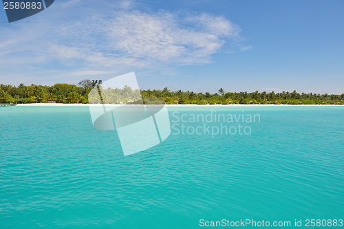 Image of tropical beach