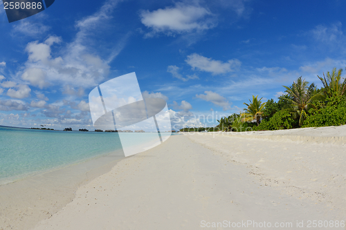 Image of tropical beach