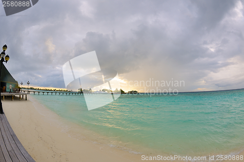 Image of tropical beach