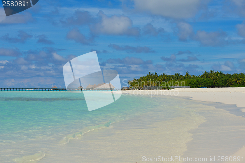 Image of tropical beach