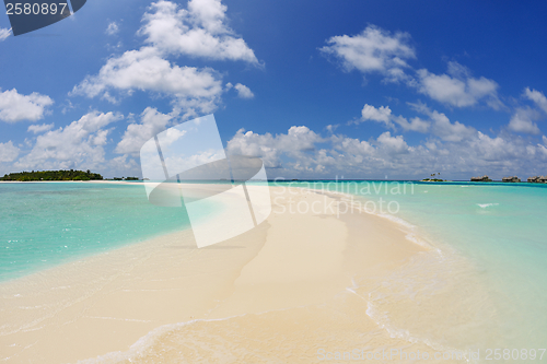 Image of tropical beach