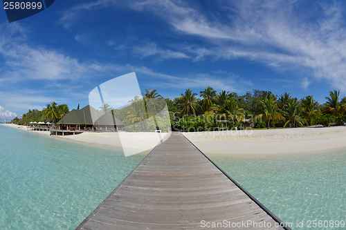 Image of tropical beach