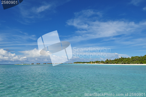 Image of tropical beach