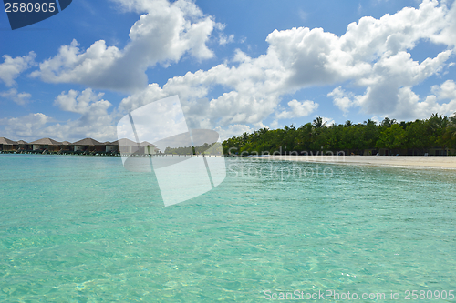 Image of tropical beach