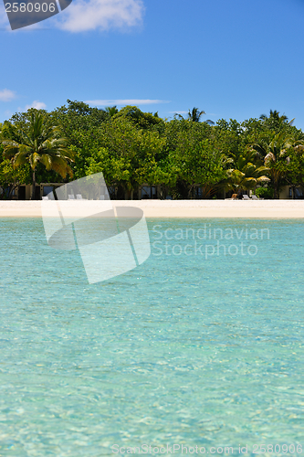 Image of tropical beach