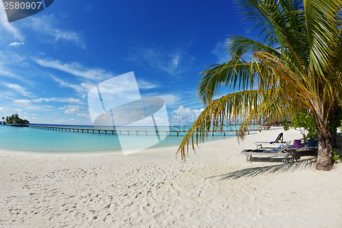 Image of tropical beach