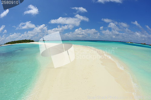 Image of tropical beach