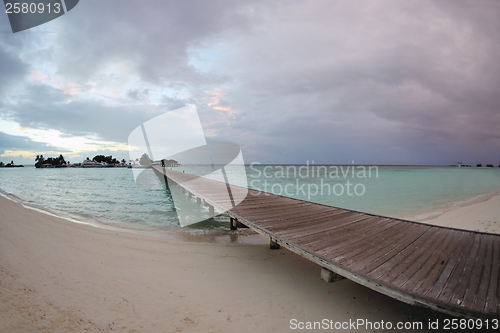 Image of tropical beach