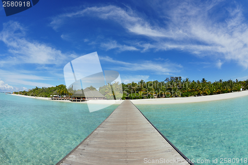 Image of tropical beach