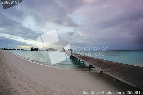 Image of tropical beach