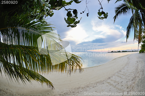 Image of tropical water home villas