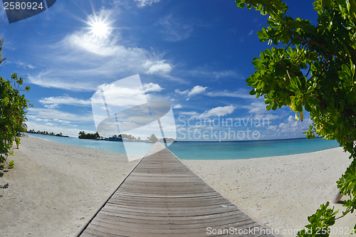 Image of tropical beach