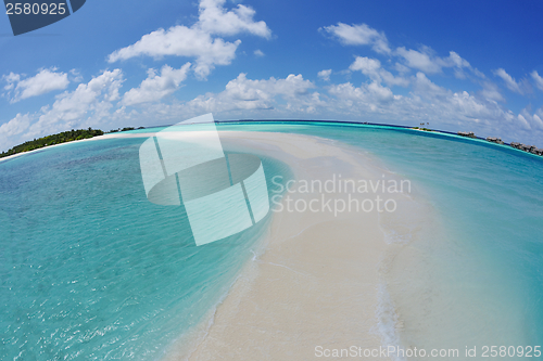 Image of tropical beach