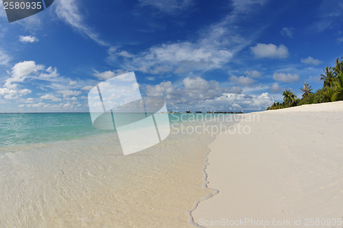 Image of tropical beach