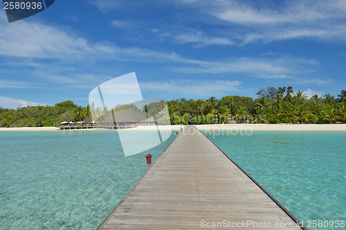 Image of tropical beach