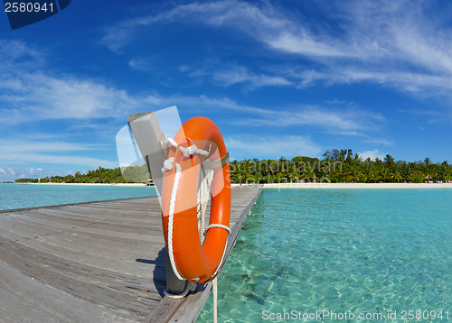 Image of tropical beach