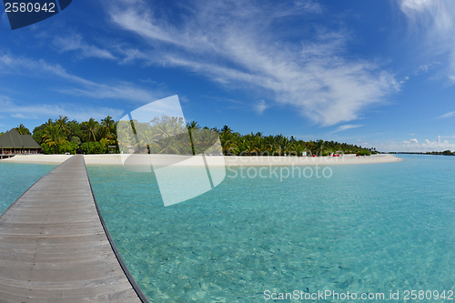 Image of tropical beach