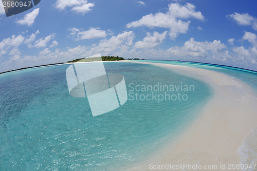 Image of tropical beach