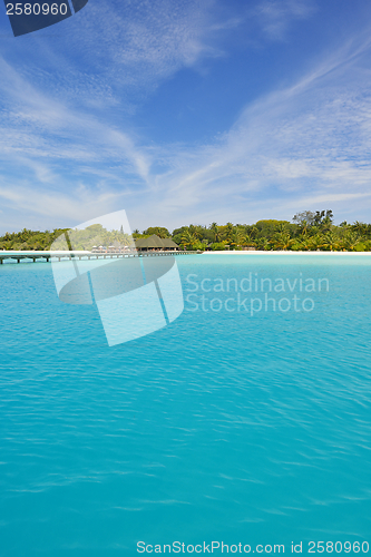 Image of tropical beach
