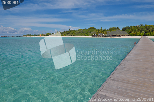 Image of tropical beach