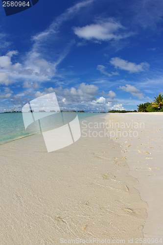 Image of tropical beach