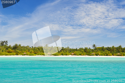 Image of tropical beach