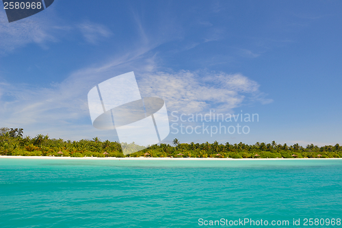 Image of tropical beach