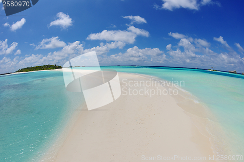 Image of tropical beach