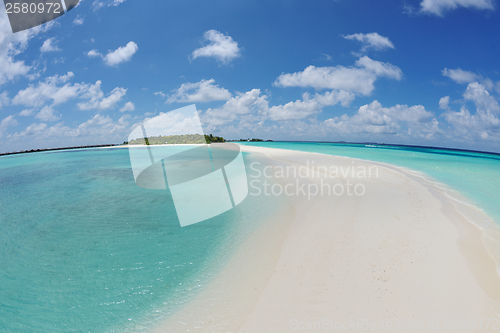 Image of tropical beach