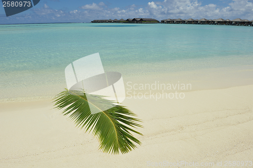 Image of tropical beach