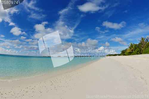 Image of tropical beach