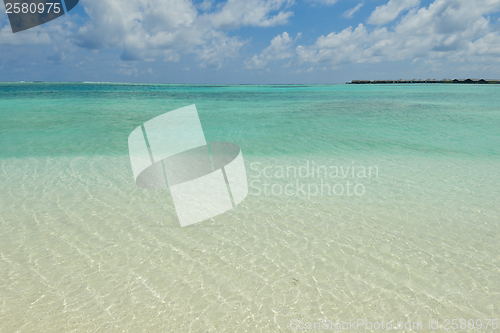 Image of tropical beach