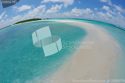 Image of tropical beach