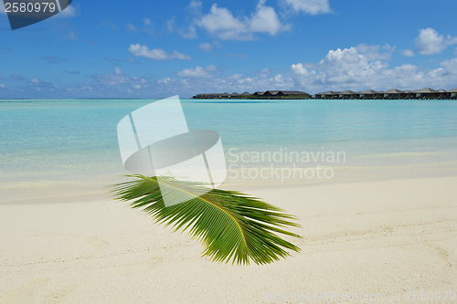 Image of tropical beach