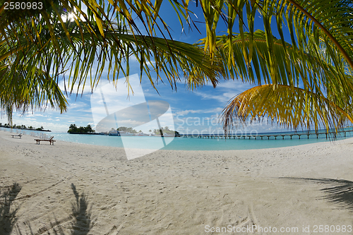 Image of tropical beach